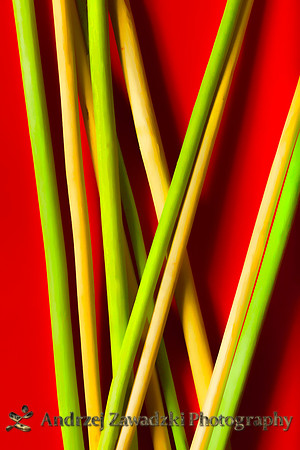 Green on Red