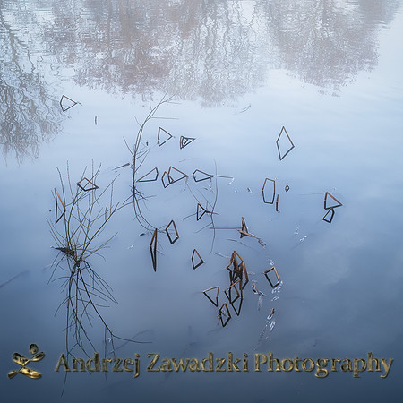 Geometry in Iced Water